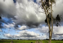 壹号娱乐：德甲综合：冷门迭爆 拜仁、多特等纷纷落败.