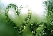 壹号娱乐：福原爱展露搞笑天赋开张怡宁玩笑与刘诗雯比高.