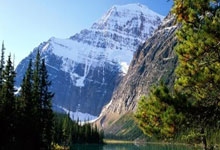 壹号娱乐:亚冬会|中国冰壶男、女队取连胜新华网.