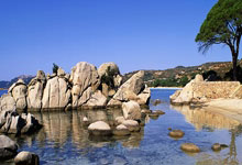 壹号娱乐:津媒:伊万将回京对3月份世预赛总结,其帅位比较稳固.